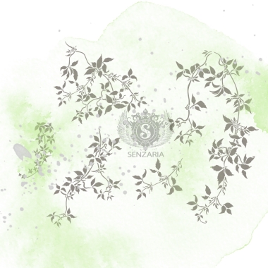 Трафарет - Клематисы набор большой Трафарет - Клематисы набор большой